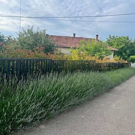 Neon Apartman Csopak Balaton المظهر الخارجي الصورة